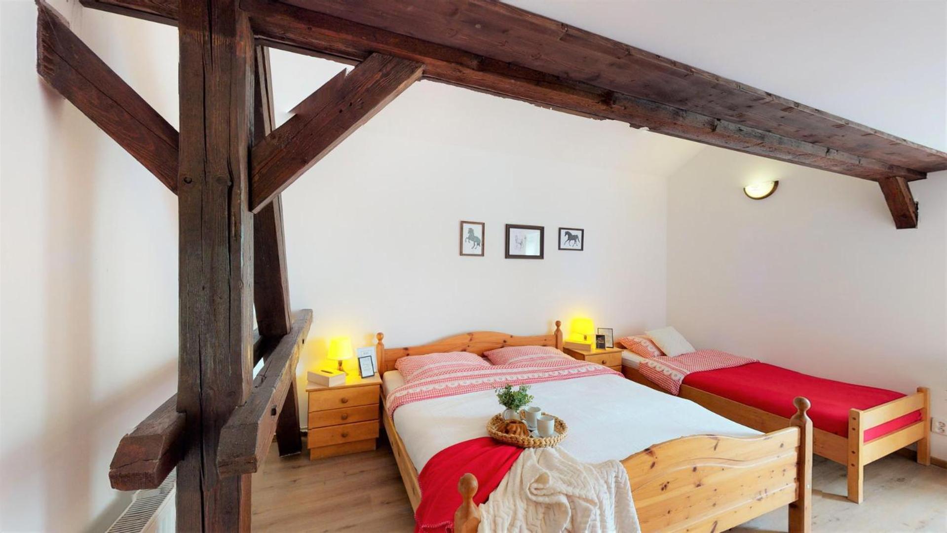 Pension U Sebastiana Hodousice Rom bilde